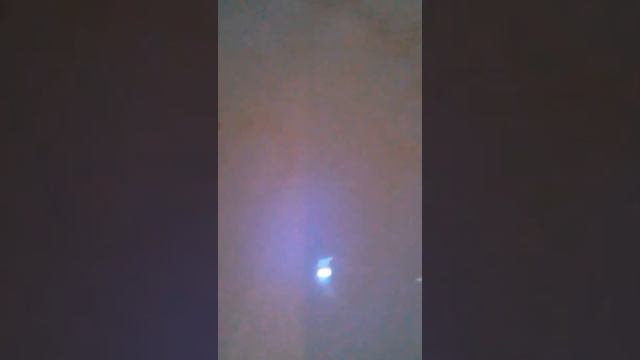 как ухаживать за улитками ахатинские