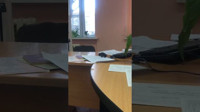 Не хотят давать паспорт из-за списков Сторожевого контроля смотреть онлайн
