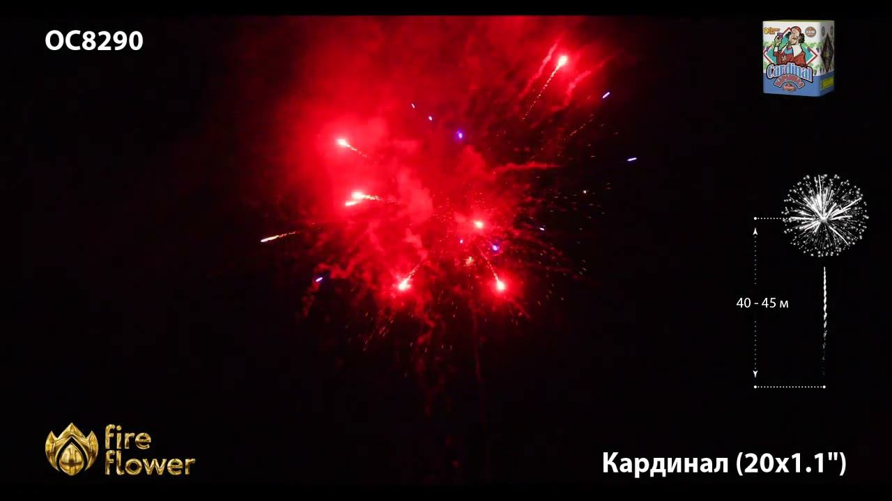 OC8290 смотреть онлайн