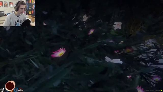 xQc - PP catches thief LACKING in a BUSH! смотреть онлайн