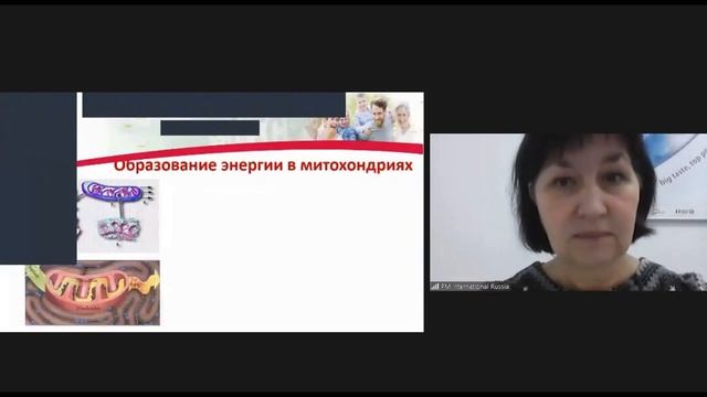 Что такое митохондрии и его функции? Как восстановить работу митохондрий? смотреть онлайн