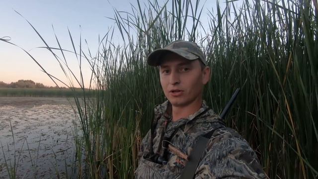 УДАЧНОЕ ОТКРЫТИЕ ОХОТЫ НА УТКУ. Охота на утку 2020. Охота с подхода и на вечерке. смотреть онлайн