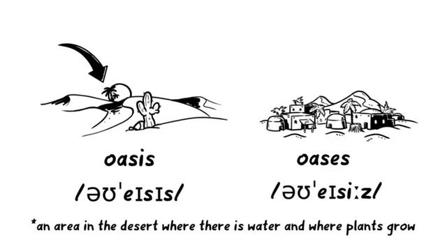 Irregular Plurals. Исключения множественного числа существительных. смотреть онлайн