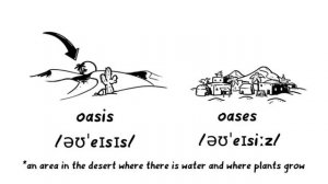 Irregular Plurals. Исключения множественного числа существительных.