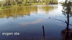 Ловля рыбы на самолов. Подтяжка снасти