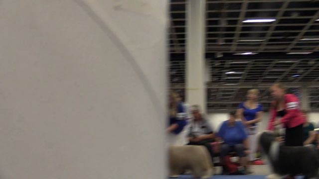 MVI 0084 смотреть онлайн