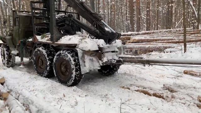Строевые брёвна для будущего сруба длиной 12.5 в вершинке 28-33см. смотреть онлайн
