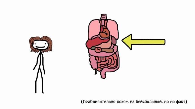 Уродства, которые могут быть у тебя! - Академия Сэма О'Нэллы (Русская Озвучка Broccoli) смотреть онлайн