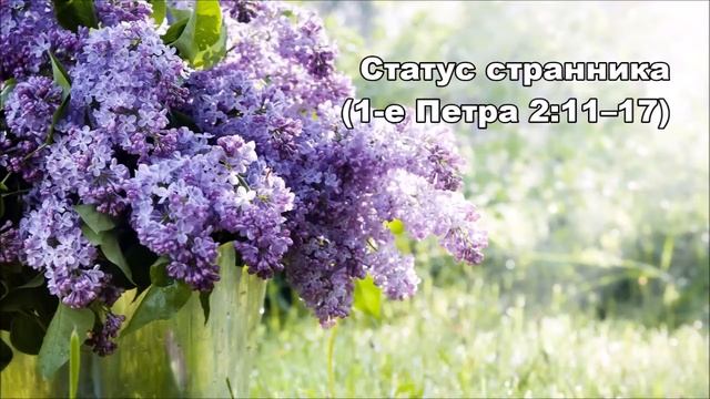 04.05.2016 Странники в этом мире (1-е Петра 2:11–25) смотреть онлайн