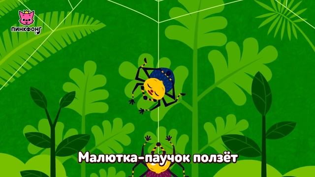 Малютка-паучок  Песни про насекомых  Пинкфонг песни для детей