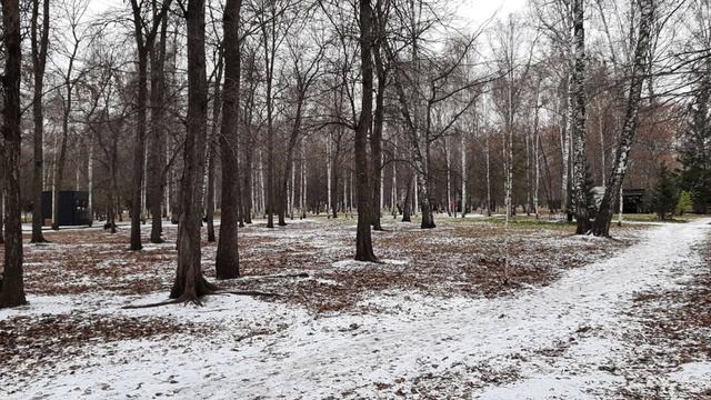 Что такое Духи природы. смотреть онлайн