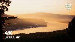 ЗВУКИ УТРА | Пение птиц | Утро в деревне