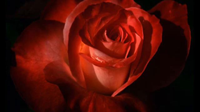 Χατζηνάσιος Το Φιλί Της Ζωής by Secret Thoughts смотреть онлайн