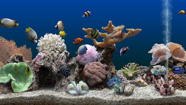 Marine Aquarium 3 - 2 hours (4K) смотреть онлайн