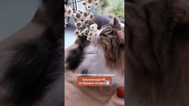 МК из папье-маше Брошь -Ягодка на канале @agatasan #лепка #diy #брошьручнойработы #мастеркласс смотреть онлайн