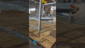 Видео-инструкция по сборке стандартной клетки для птицы без яйцесборника