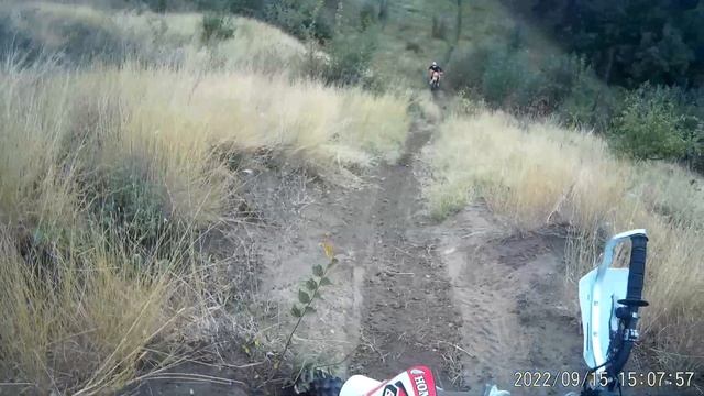 Пелагиада,лайтовая покатуха смотреть онлайн