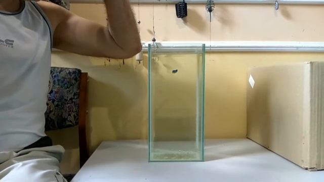 Электронная удочка для зимней рыбалки, настройка. смотреть онлайн