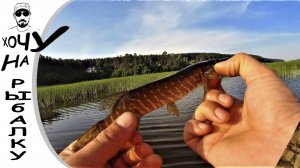 Первая летняя рыбалка с новой лодки, ловля спиннингом щуки и окуня. 01.06.2020