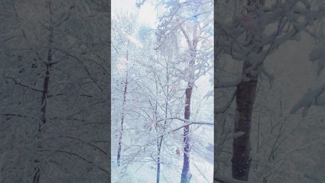 #зима#зимняясказка #с наступающим