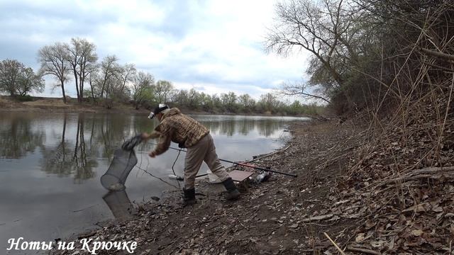 УХ КАКОЙ! ВЕСЕННЯЯ РЫБАЛКА В АПРЕЛЕ 2021 НА КРУПНОГО КАРАСЯ смотреть онлайн