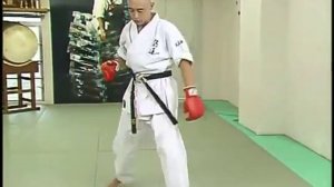 Лучшие техники КУДО Основы нанесения ударов