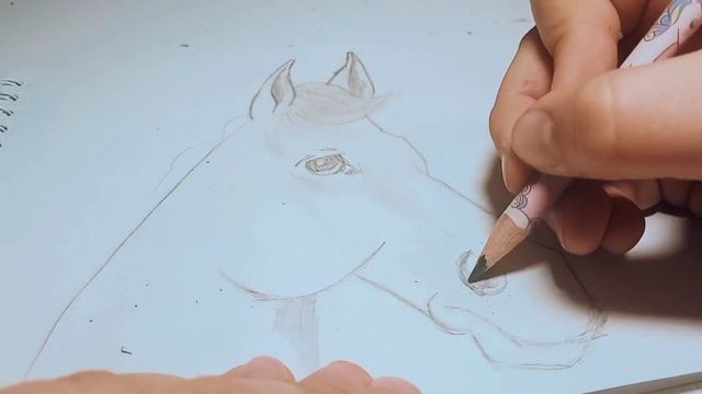 Рисуем лошадь и слушаем истории про лошадей 3-й рассказ смотреть онлайн