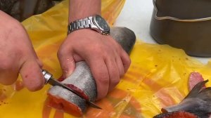 Жарим Кету , простой и вкусный рецепт ?