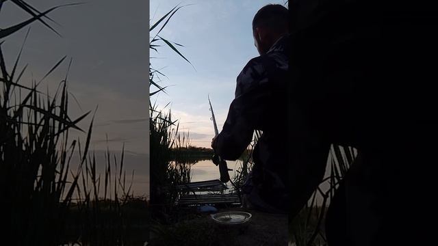 # Рыбалка карася на червя а прикормка 🍞 с чесноком размешана с грязью смотреть онлайн