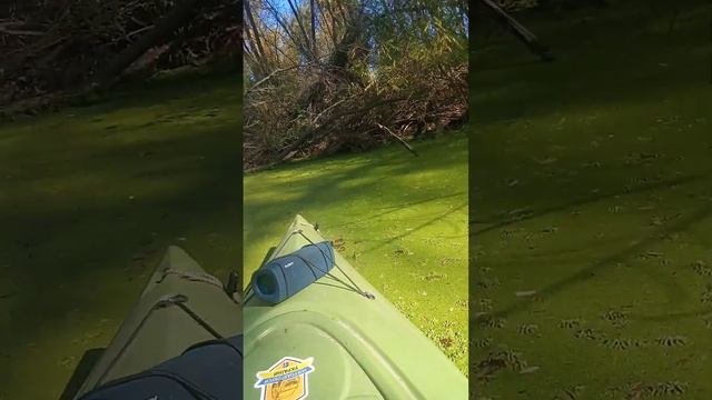 КАЯКИ, проход через протоку между островами смотреть онлайн