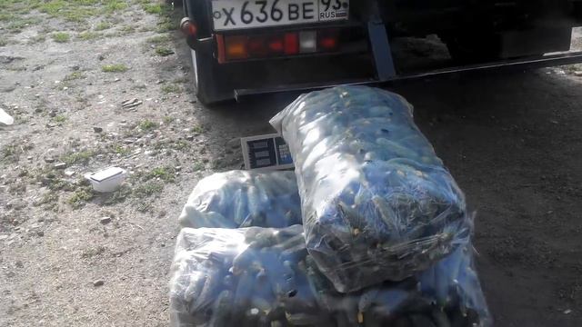 А это,попыталась снять на рынке,раз уж я сюда попала )) смотреть онлайн