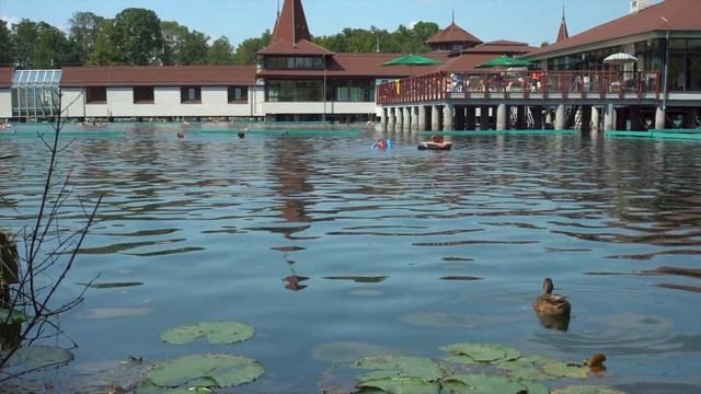 Впечатления от озера Хевиз