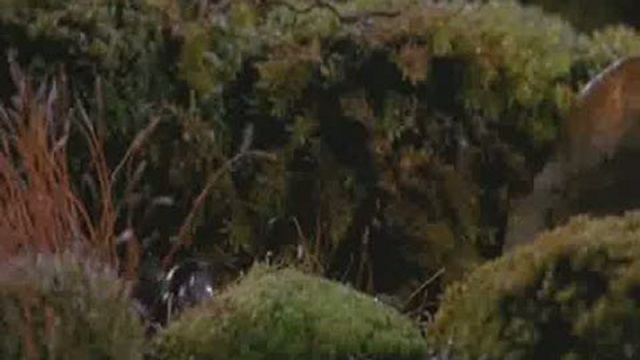 Микрокосмос, часть 2