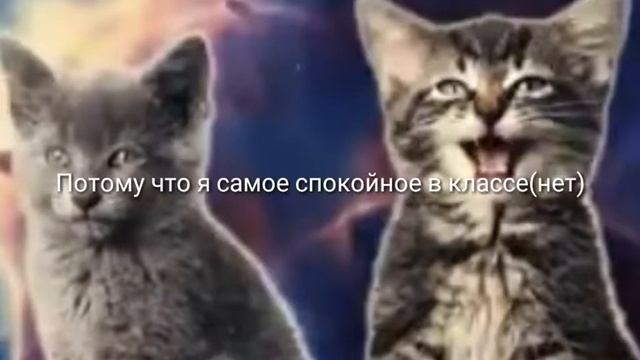 Пуша стало старостой класса!-^- смотреть онлайн