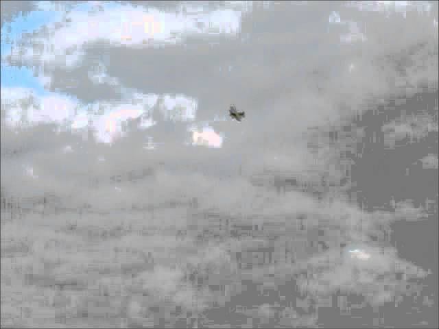First Fly Ultimate смотреть онлайн