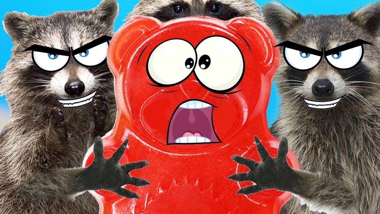 Еноты напали на желейного медведя Валеру смотреть онлайн