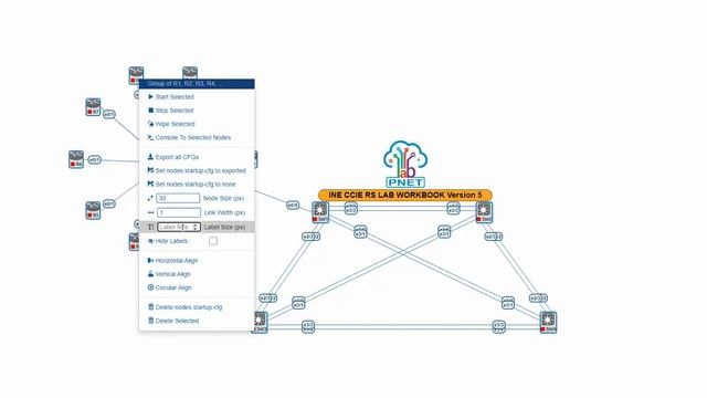 Quick edit node size, link size and label link size in PNETLab смотреть онлайн