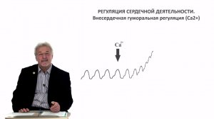 Евсеев А.В. Нормальная физиология. Лекция №15. Регуляция сердца (продолжение). 2023