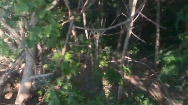 На отдыхе на природе под видом рыбалки. 2 реки Оренбурга, Урал и Сакмара смотреть онлайн