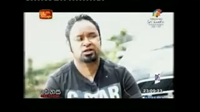 Panda смотреть онлайн