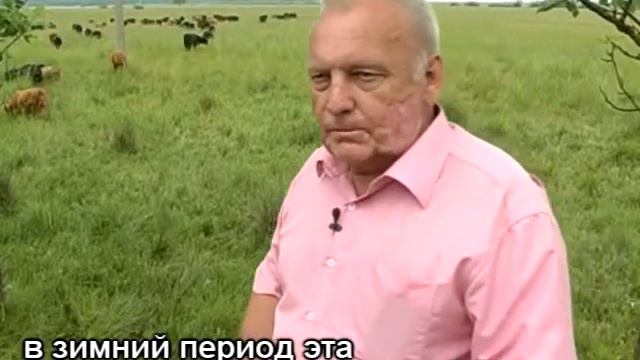 Технология выращивания ВРХ смотреть онлайн