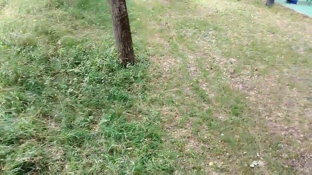 Макс прыгнул со 2 этажа. Высота 5 метров смотреть онлайн