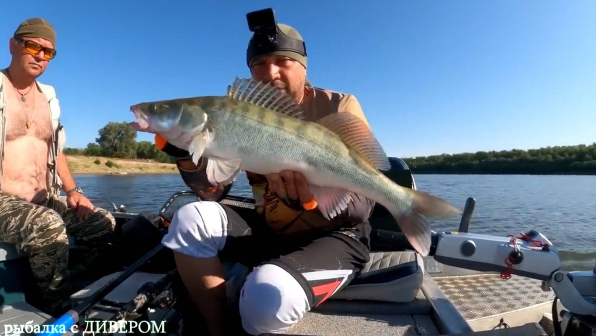 июль 2023 - СУПЕР ВОБЛЕР по СУДАКУ! ЛОВЛЯ СУДАКА ТРОЛЛИНГОМ в ОДИН СПИННИНГ, Ахтуба ДИВЕР