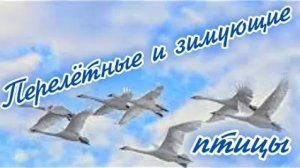 Перелётные и зимующие птицы