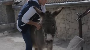 Анора   Баркала