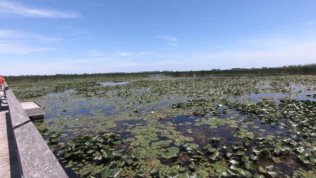 Как послать деньги из Канады в Россию. Детальный рассказ. смотреть онлайн