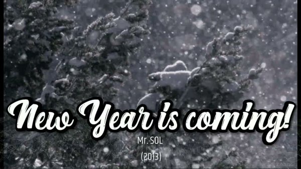 Mr. SOL - New Year is coming! (2013)