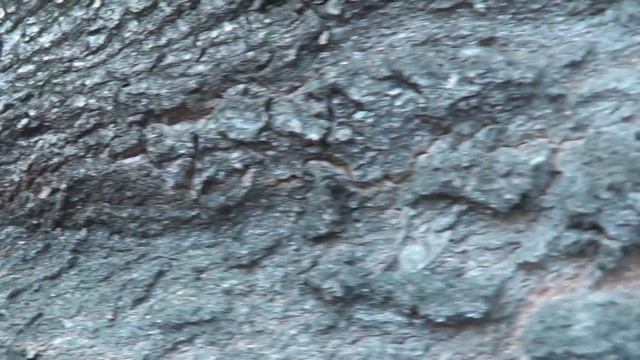 Что означает когда приснился труп смотреть онлайн