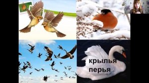 Наземно воздушная среда обитания  5 класс