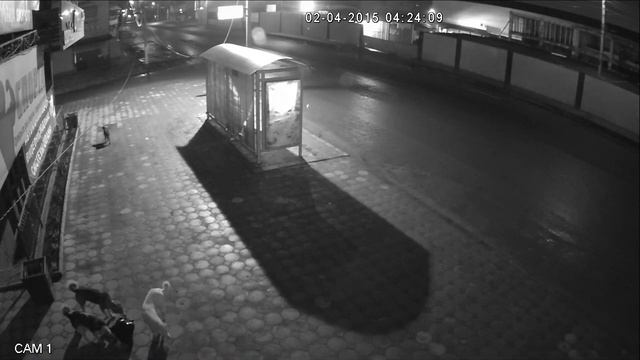 Уличная HDCVI камера DH-HAC-HFW2220RP-Z, 2Mp, 25 к.с., Цифромания, Ингушетия, Ночь, Собаки смотреть онлайн